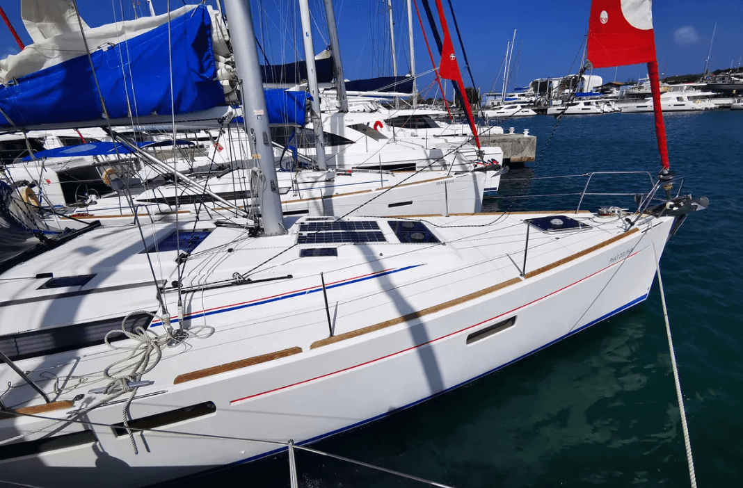 svg phat dolphin hero exterior